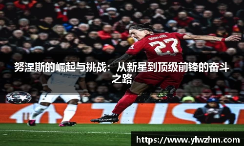 jn江南·体育登录入口