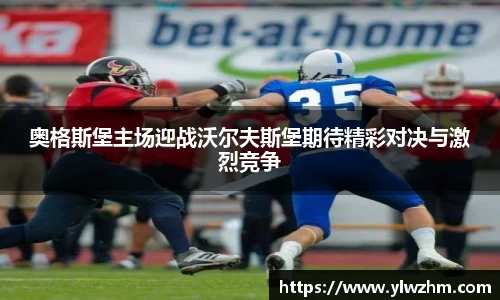 jn江南·体育登录入口