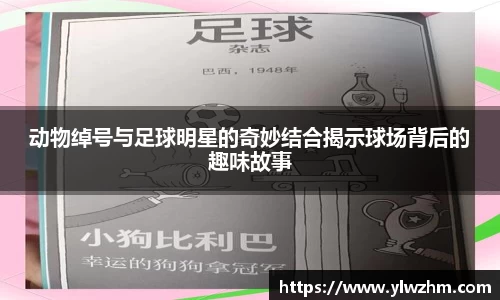 江南体育官方网站