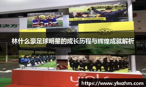 jn江南·体育登录入口