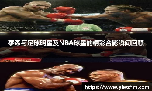 jn江南·体育登录入口